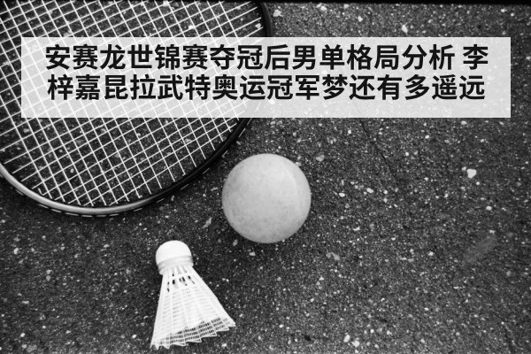 Viktor Axelsen badminton（jiuyouhui）