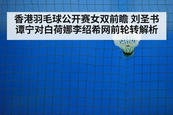 badminton net shot