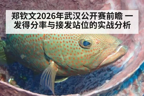郑钦文2026年武汉公开赛前瞻 一发得分率与接发站位的实战分析